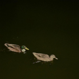 lets go away by Featured release — cover art